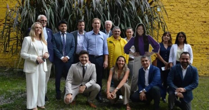 SANTILLI-OROZCO-DE-CARTON