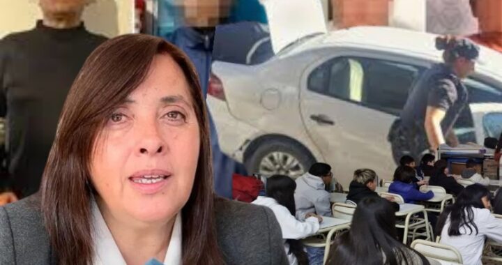 WhatsApp Image 2026-02-11 at 11.30.35 (1)